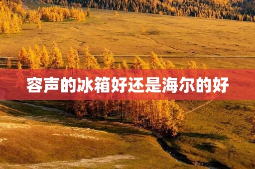 容声的冰箱好还是海尔的好:对比评估 容声的冰箱好还是海尔的好:对比评估