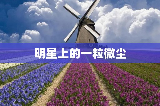 明星上的一粒微尘：揭示明星生活中的微小细节