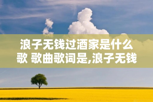 浪子无钱过酒家是什么歌 歌曲歌词是,浪子无钱过酒家是什么歌