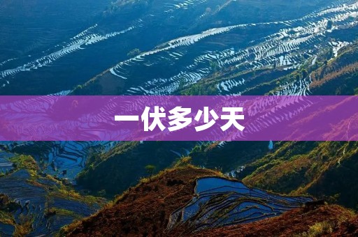 一伏多少天 一伏多少天