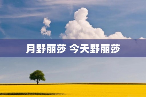 月野丽莎 今天野丽莎