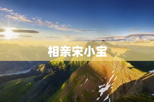 相亲宋小宝:一个搞笑艺人的相亲经历揭秘 相亲宋小宝:一个搞笑艺人的相亲经历揭秘