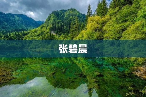 张碧晨:中国好声音的璀璨明星 张碧晨:中国好声音的璀璨明星