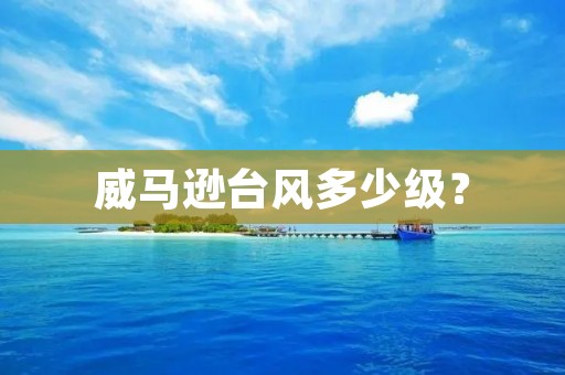 威马逊台风多少级？