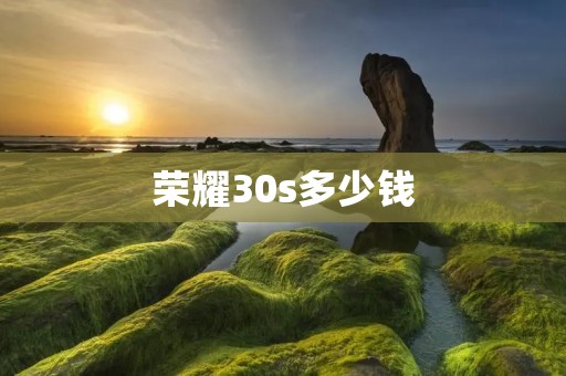 荣耀30s多少钱