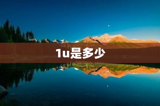 1u是多少