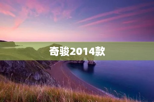 奇骏2014款:豪华与性能的完美结合 奇骏2014款:豪华与性能的完美结合