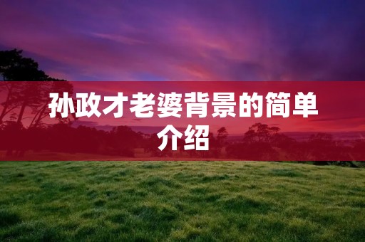 孙政才老婆背景的简单介绍 孙政才老婆背景的简单介绍