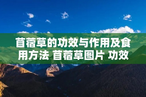 苜蓿草的功效与作用及食用方法 苜蓿草图片 功效 药用 苜蓿草的功效与作用及食用方法 苜蓿草图片 功效 药用