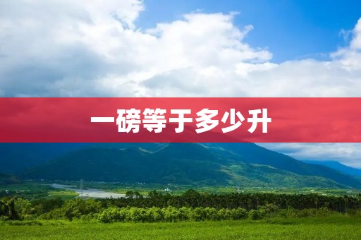 一磅等于多少升