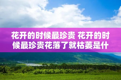 花开的时候最珍贵 花开的时候最珍贵花落了就枯萎是什么歌