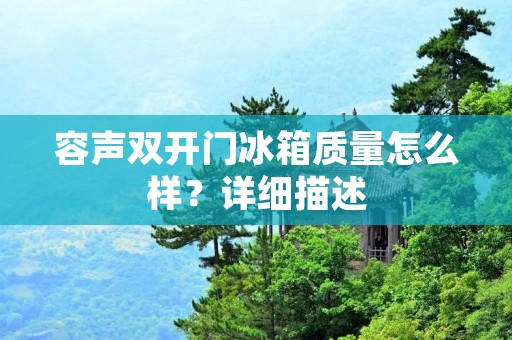 容声**门冰箱质量怎么样？详细描述：