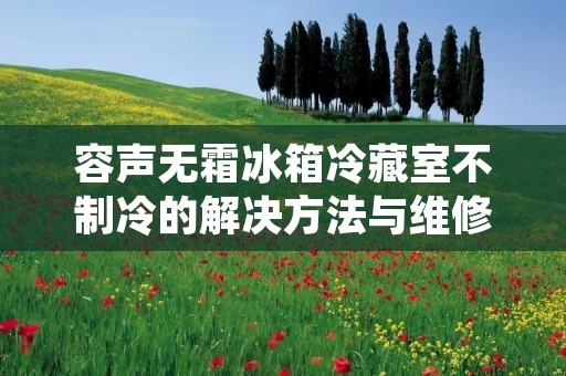 容声无霜冰箱冷藏室不制冷的解决方法与维修技巧