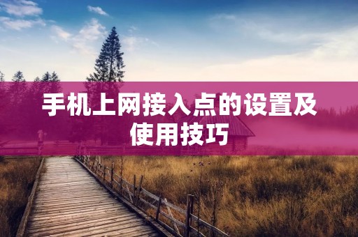 手机上网接入点的设置及使用技巧