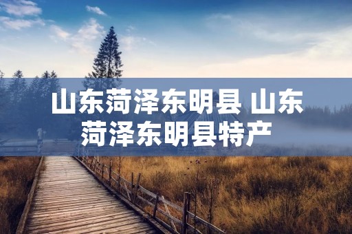 山东菏泽东明县 山东菏泽东明县特产