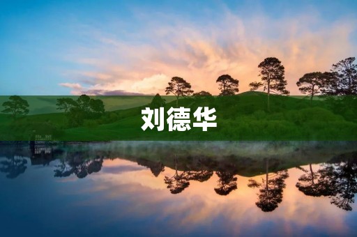 刘德华：华语乐坛巨星的传奇之旅