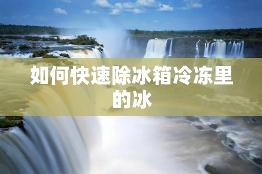 如何快速除冰箱冷冻里的冰 如何快速除冰箱冷冻里的冰