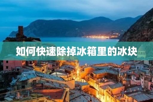 如何快速除掉冰箱里的冰块