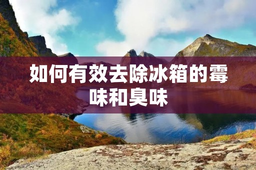 如何有效去除冰箱的霉味和臭味 如何有效去除冰箱的霉味和臭味