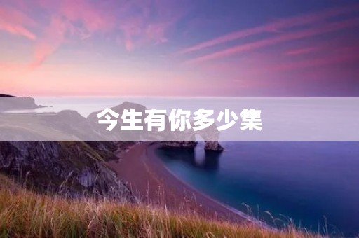 今生有你多少集