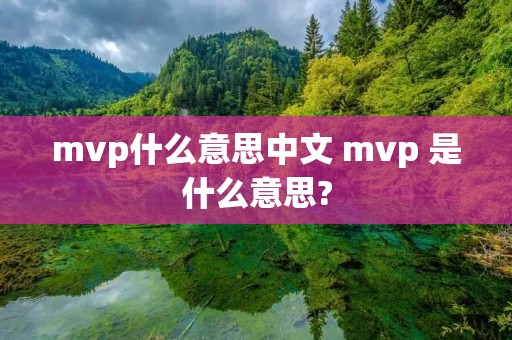 mvp什么意思中文 mvp 是什么意思?