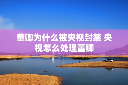 董卿为什么被央视封禁 央视怎么处理董卿