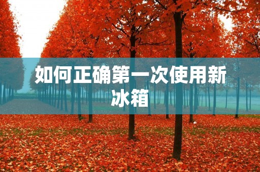 如何正确第一次使用新冰箱