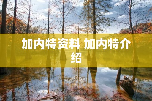 加内特资料 加内特介绍 加内特资料 加内特介绍