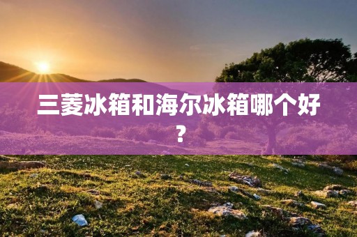 三菱冰箱和海尔冰箱哪个好？
