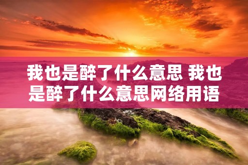 我也是醉了什么意思 我也是醉了什么意思网络用语
