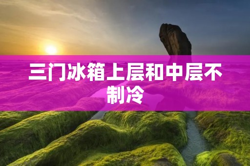 三门冰箱上层和中层不制冷:原因与解决方法 三门冰箱上层和中层不制冷:原因与解决方法