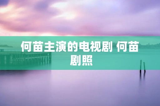 何苗主演的电视剧 何苗 剧照 何苗主演的电视剧 何苗 剧照