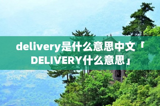 delivery是什么意思中文「DELIVERY什么意思」