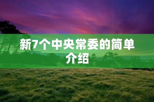 新7个中央常委的简单介绍