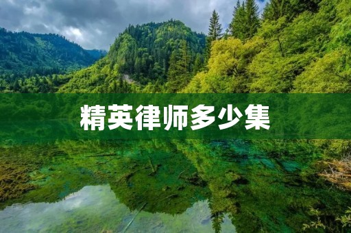 精英律师多少集 精英律师多少集