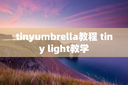 tinyumbrella教程 tiny light教学