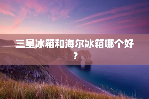 三星冰箱和海尔冰箱哪个好？