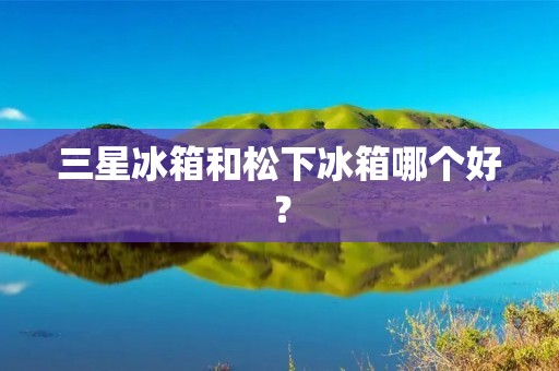 三星冰箱和松下冰箱哪个好? 三星冰箱和松下冰箱哪个好?
