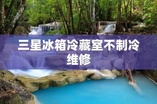 三星冰箱冷藏室不制冷维修：解决您的冷藏问题