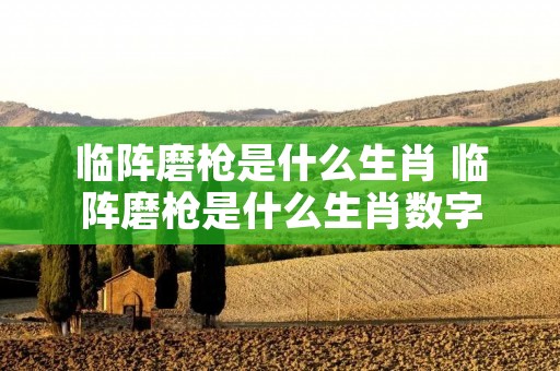 临阵磨枪是什么生肖 临阵磨枪是什么生肖数字