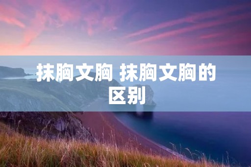 抹胸文胸 抹胸文胸的区别 抹胸文胸 抹胸文胸的区别