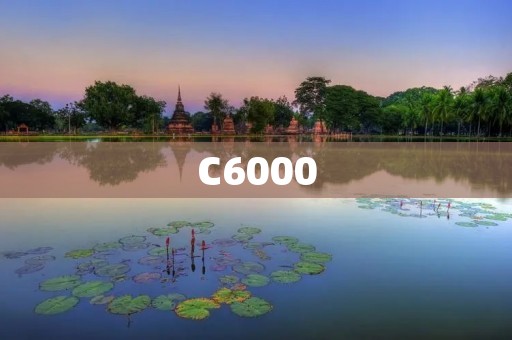 C6000：带您了解这一高性能处理器的特点与应用
