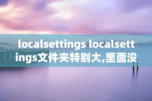 localsettings localsettings文件夹特别大,里面没有文件