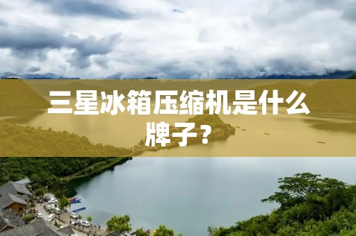 三星冰箱压缩机是什么牌子? 三星冰箱压缩机是什么牌子?