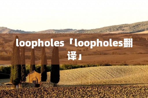 loopholes「loopholes翻译」