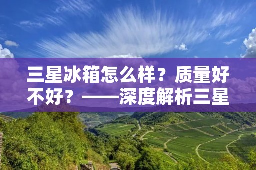三星冰箱怎么样？质量好不好？——深度解析三星冰箱的品质与性能