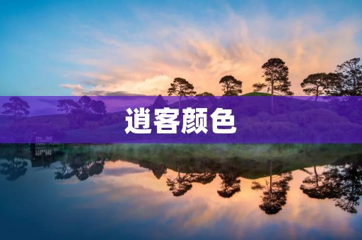 逍客颜色：探寻潮流中的个性与自由