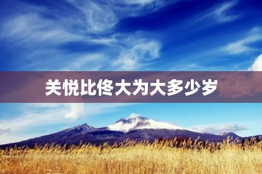 关悦比佟大为大多少岁 关悦比佟大为大多少岁
