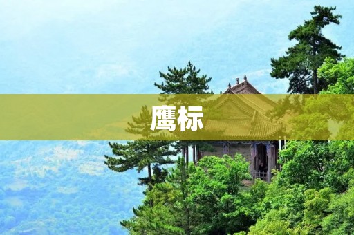 鹰标：突破视野的力量