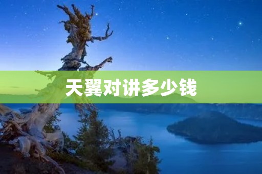 天翼对讲多少钱